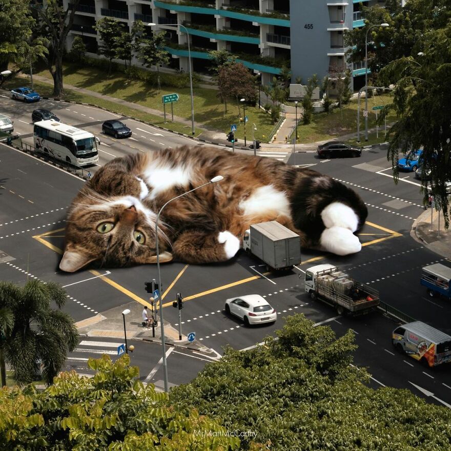 91 Surreal Photo Edits With Giant Cats By Matt McCarthy (New Pics) 91 Surreal Photo Edits With Giant Cats By Matt McCarthy (New Pics)
