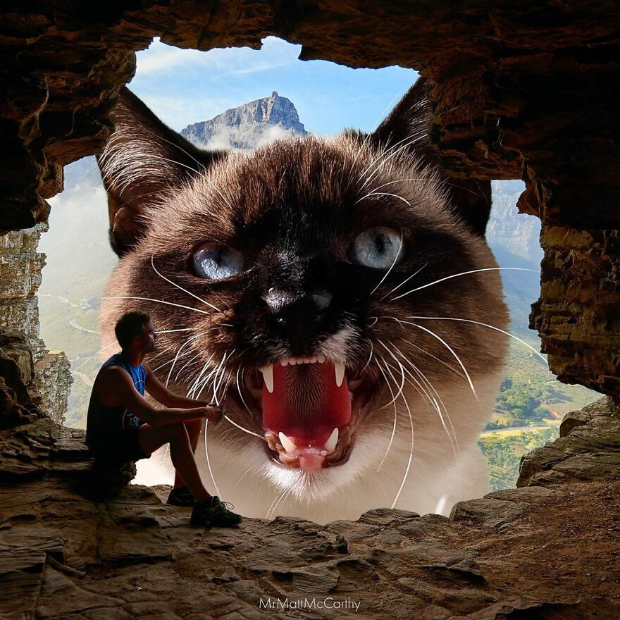 91 Surreal Photo Edits With Giant Cats By Matt McCarthy (New Pics) 91 Surreal Photo Edits With Giant Cats By Matt McCarthy (New Pics)