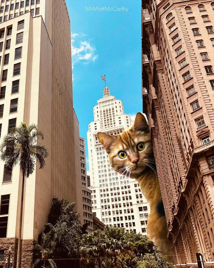 91 Surreal Photo Edits With Giant Cats By Matt McCarthy (New Pics) 91 Surreal Photo Edits With Giant Cats By Matt McCarthy (New Pics)
