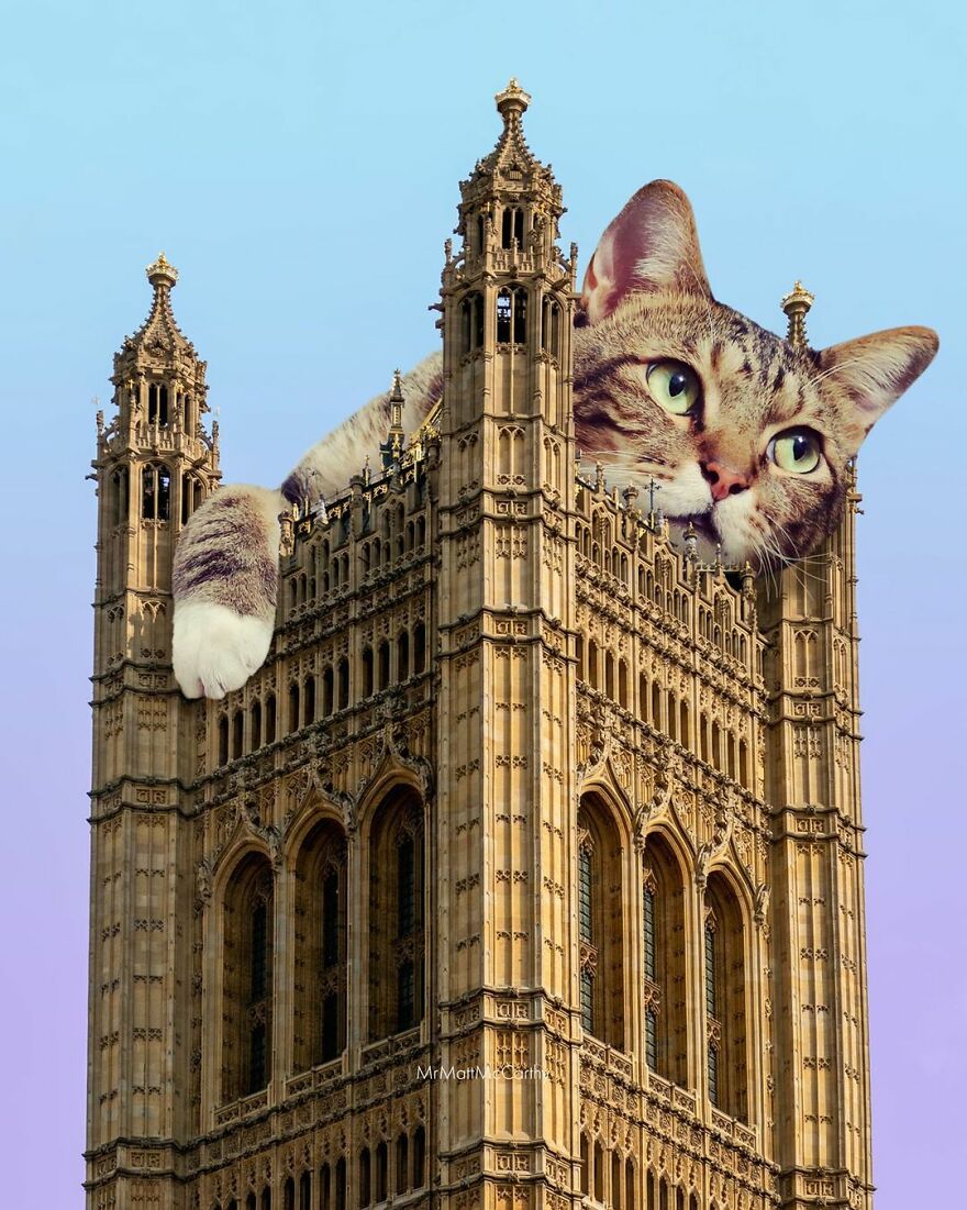 91 Surreal Photo Edits With Giant Cats By Matt McCarthy (New Pics) 91 Surreal Photo Edits With Giant Cats By Matt McCarthy (New Pics)