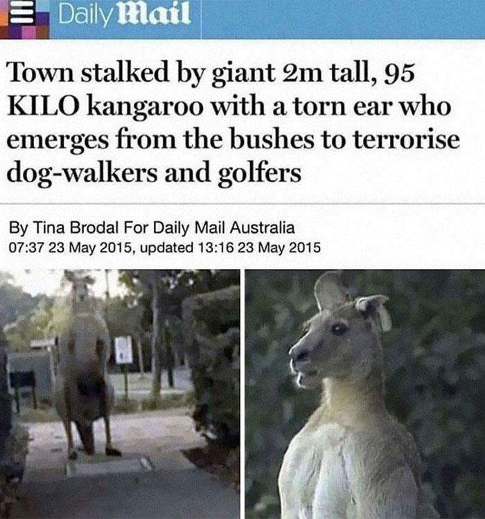 This Online Group Posts Pics Of Massive Things That Are A Big ‘Nope’ For People With Megalophobia This Online Group Posts Pics Of Massive Things That Are A Big ‘Nope’ For People With Megalophobia