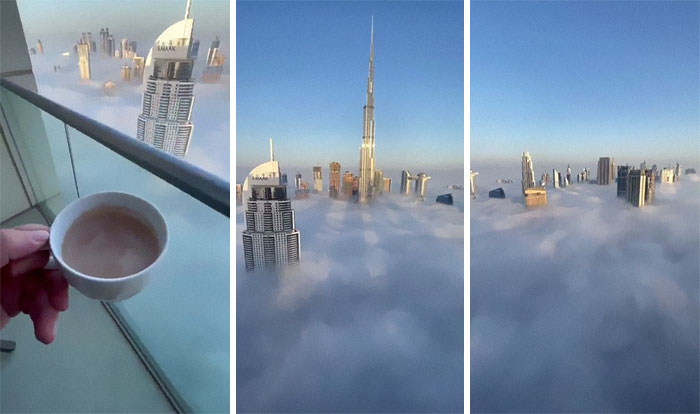 This Online Group Posts Pics Of Massive Things That Are A Big ‘Nope’ For People With Megalophobia This Online Group Posts Pics Of Massive Things That Are A Big ‘Nope’ For People With Megalophobia