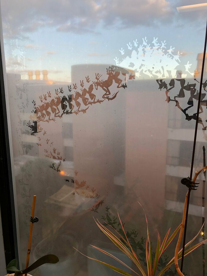 50 Adorable And Funny Frog Pics To Make Your Day Better 50 Adorable And Funny Frog Pics To Make Your Day Better