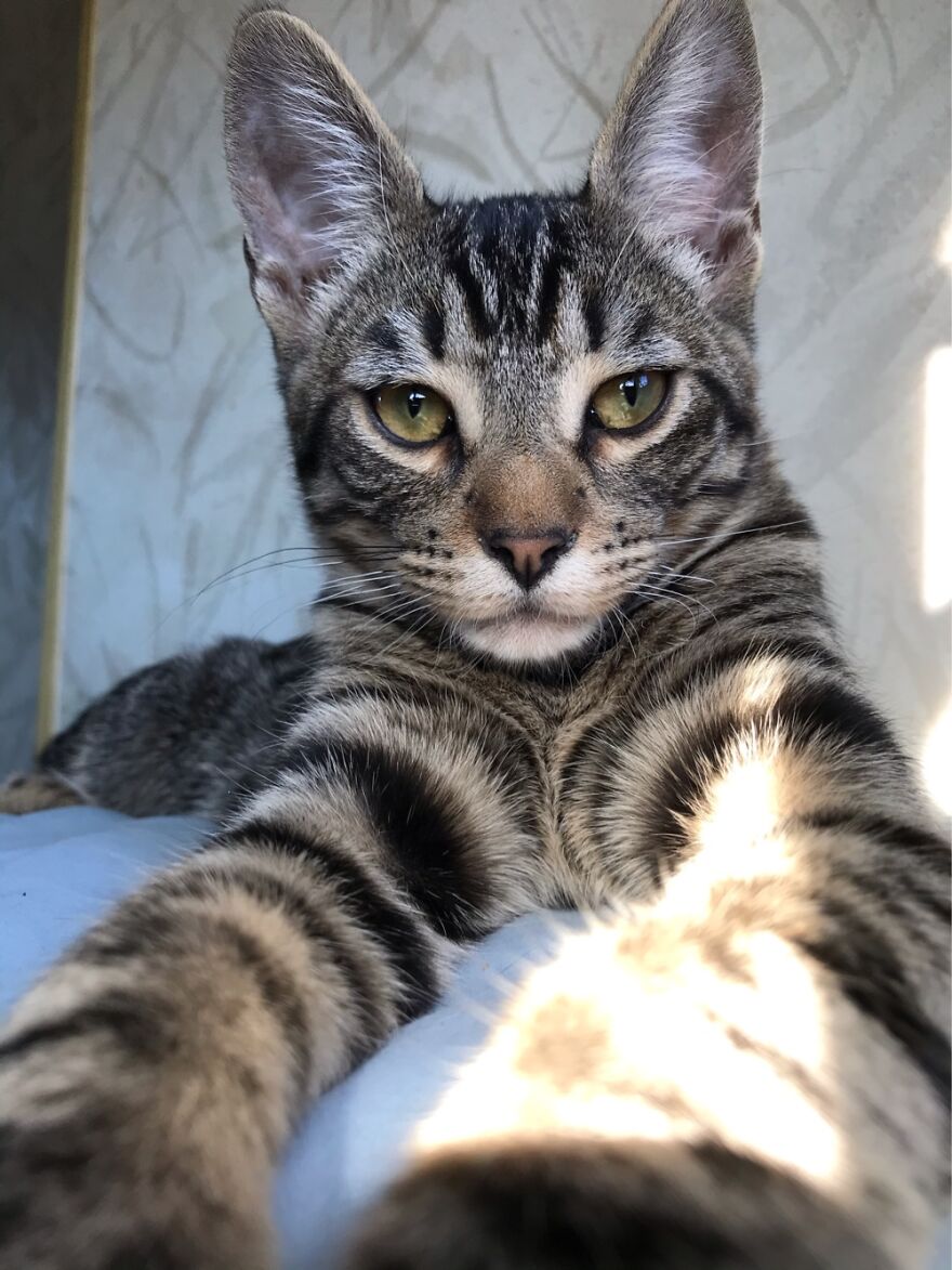 Hey Pandas, Post The Coolest Picture Of An Animal That You’ve Taken (Closed) Hey Pandas, Post The Coolest Picture Of An Animal That You’ve Taken (Closed)