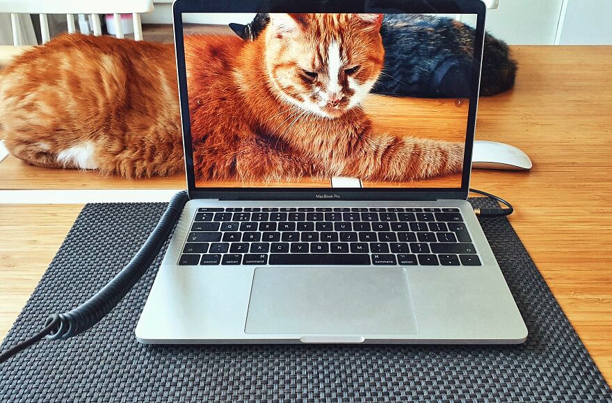 Hey Pandas, Post The Coolest Picture Of An Animal That You’ve Taken (Closed) Hey Pandas, Post The Coolest Picture Of An Animal That You’ve Taken (Closed)