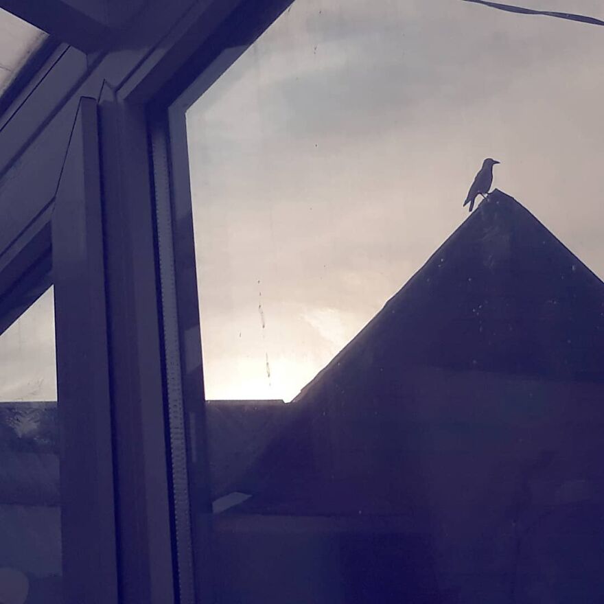 Hey Pandas, Post The Coolest Picture Of An Animal That You’ve Taken (Closed) Hey Pandas, Post The Coolest Picture Of An Animal That You’ve Taken (Closed)