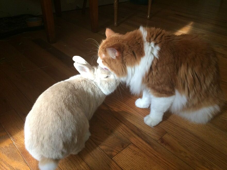 Hey Pandas, Post The Coolest Picture Of An Animal That You’ve Taken (Closed) Hey Pandas, Post The Coolest Picture Of An Animal That You’ve Taken (Closed)