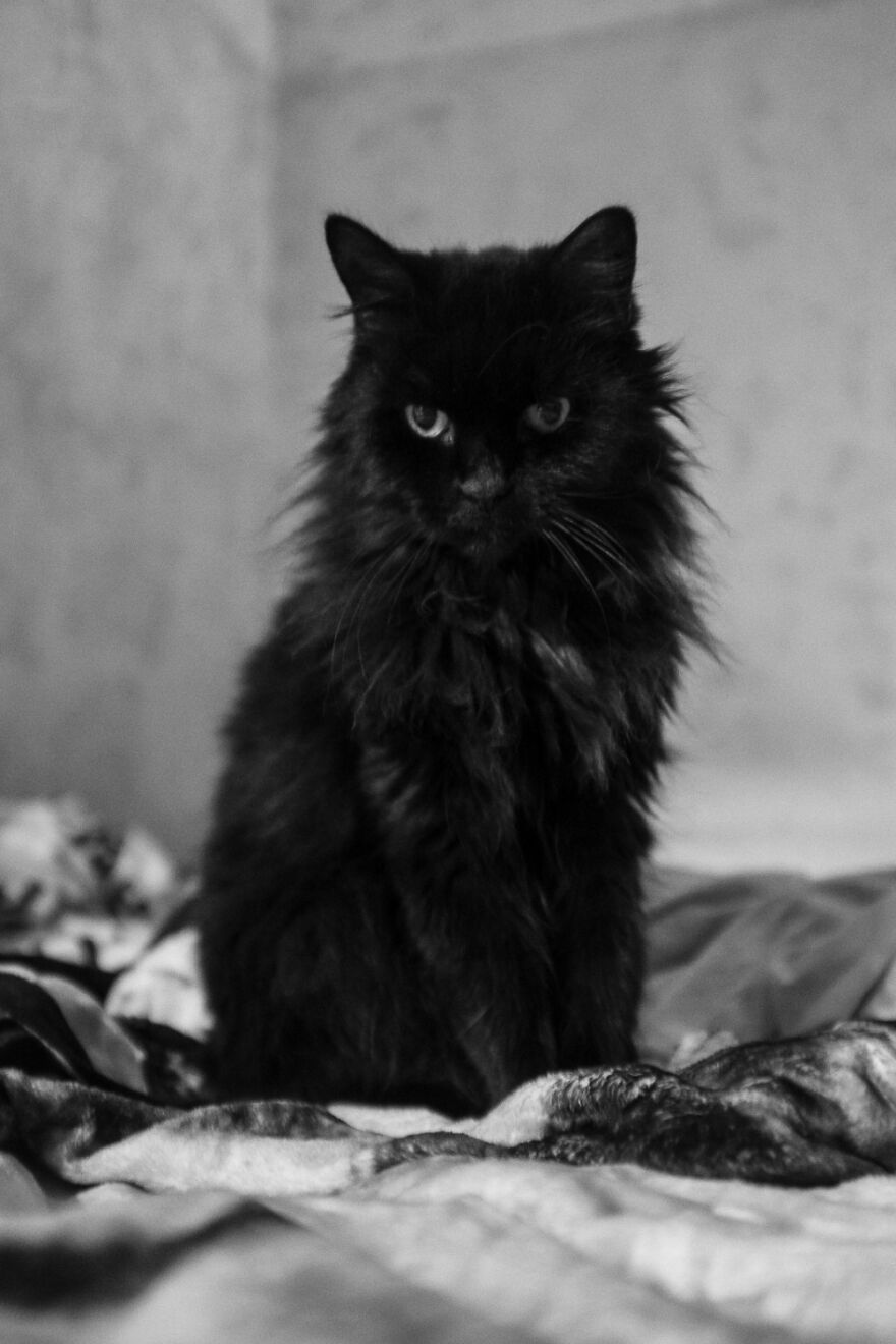 Hey Pandas, Post The Coolest Picture Of An Animal That You’ve Taken (Closed) Hey Pandas, Post The Coolest Picture Of An Animal That You’ve Taken (Closed)