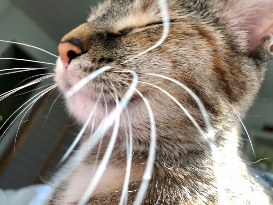 Hey Pandas, Post The Coolest Picture Of An Animal That You’ve Taken (Closed) Hey Pandas, Post The Coolest Picture Of An Animal That You’ve Taken (Closed)