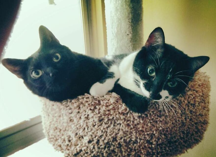 Hey Pandas, Post The Coolest Picture Of An Animal That You’ve Taken (Closed) Hey Pandas, Post The Coolest Picture Of An Animal That You’ve Taken (Closed)