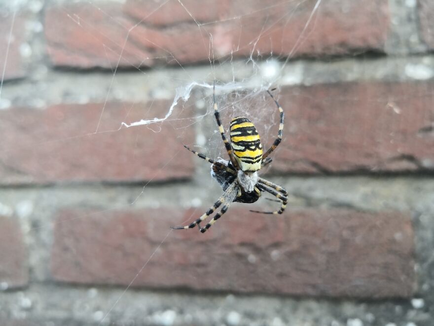 Hey Pandas, Post The Coolest Picture Of An Animal That You’ve Taken (Closed) Hey Pandas, Post The Coolest Picture Of An Animal That You’ve Taken (Closed)