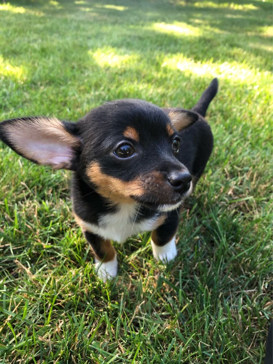 Hey Pandas, Post The Coolest Picture Of An Animal That You’ve Taken (Closed) Hey Pandas, Post The Coolest Picture Of An Animal That You’ve Taken (Closed)