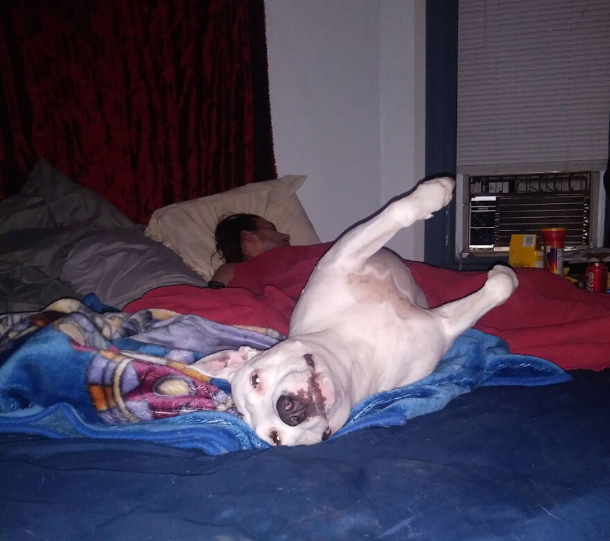 Hey Pandas, Post The Coolest Picture Of An Animal That You’ve Taken (Closed) Hey Pandas, Post The Coolest Picture Of An Animal That You’ve Taken (Closed)