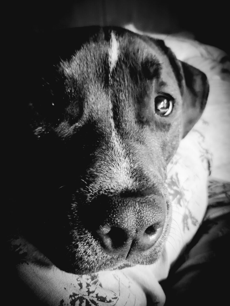 Hey Pandas, Post The Coolest Picture Of An Animal That You’ve Taken (Closed) Hey Pandas, Post The Coolest Picture Of An Animal That You’ve Taken (Closed)