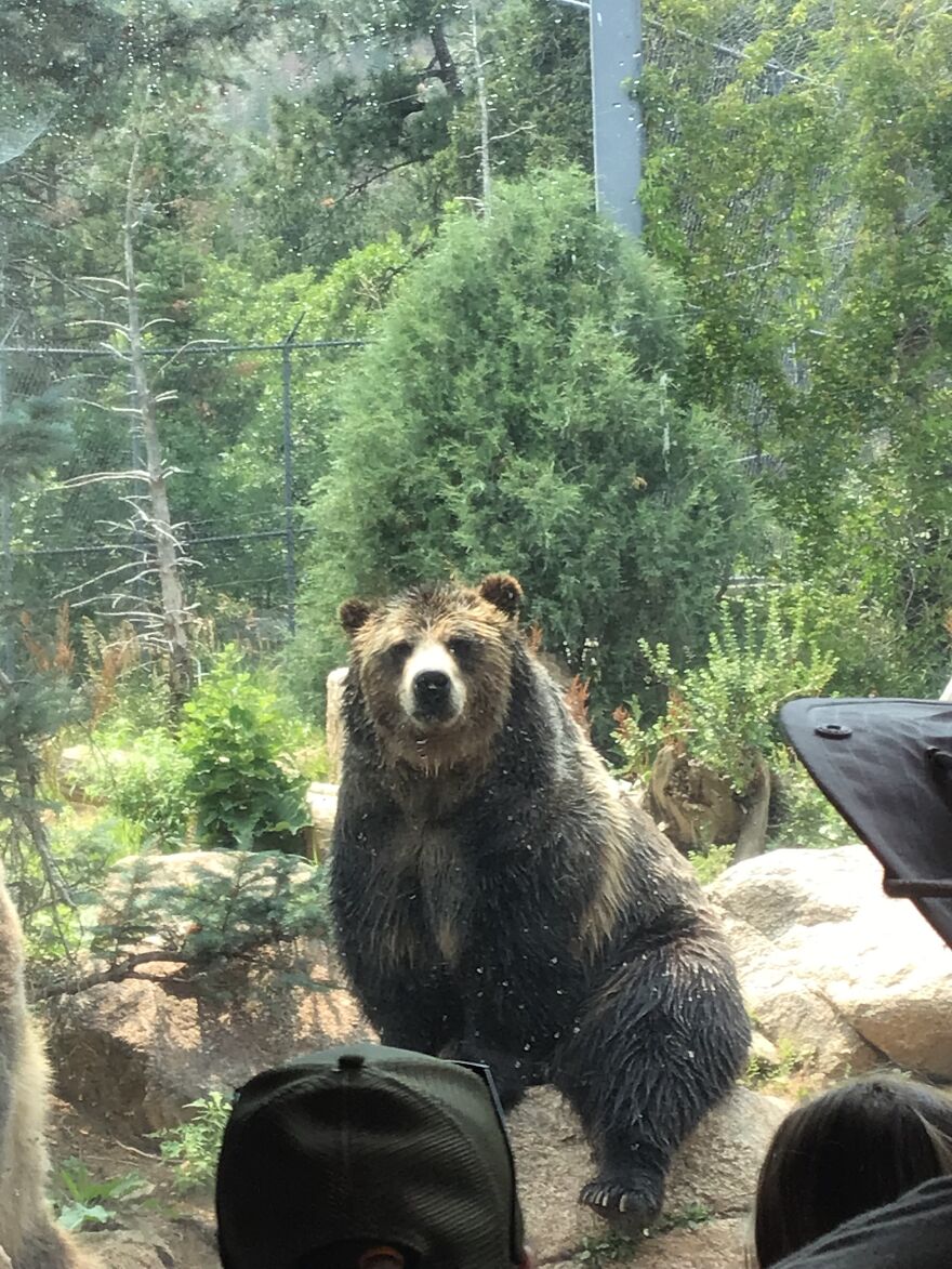 Hey Pandas, Post The Coolest Picture Of An Animal That You’ve Taken (Closed) Hey Pandas, Post The Coolest Picture Of An Animal That You’ve Taken (Closed)