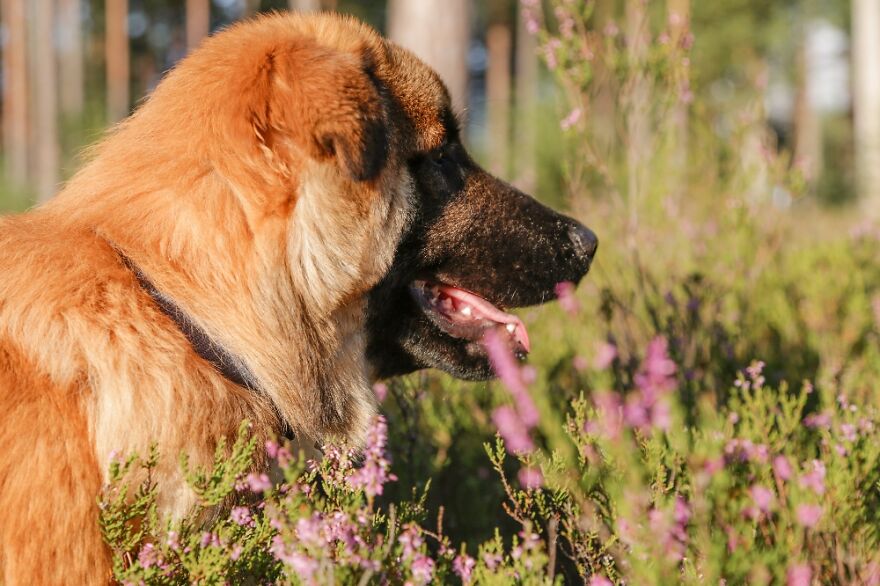 Hey Pandas, Post The Coolest Picture Of An Animal That You’ve Taken (Closed) Hey Pandas, Post The Coolest Picture Of An Animal That You’ve Taken (Closed)