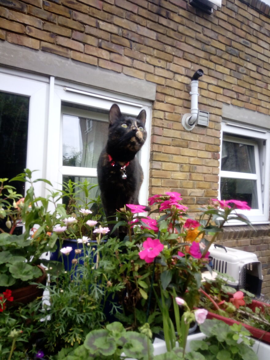 Hey Pandas, Post The Coolest Picture Of An Animal That You’ve Taken (Closed) Hey Pandas, Post The Coolest Picture Of An Animal That You’ve Taken (Closed)