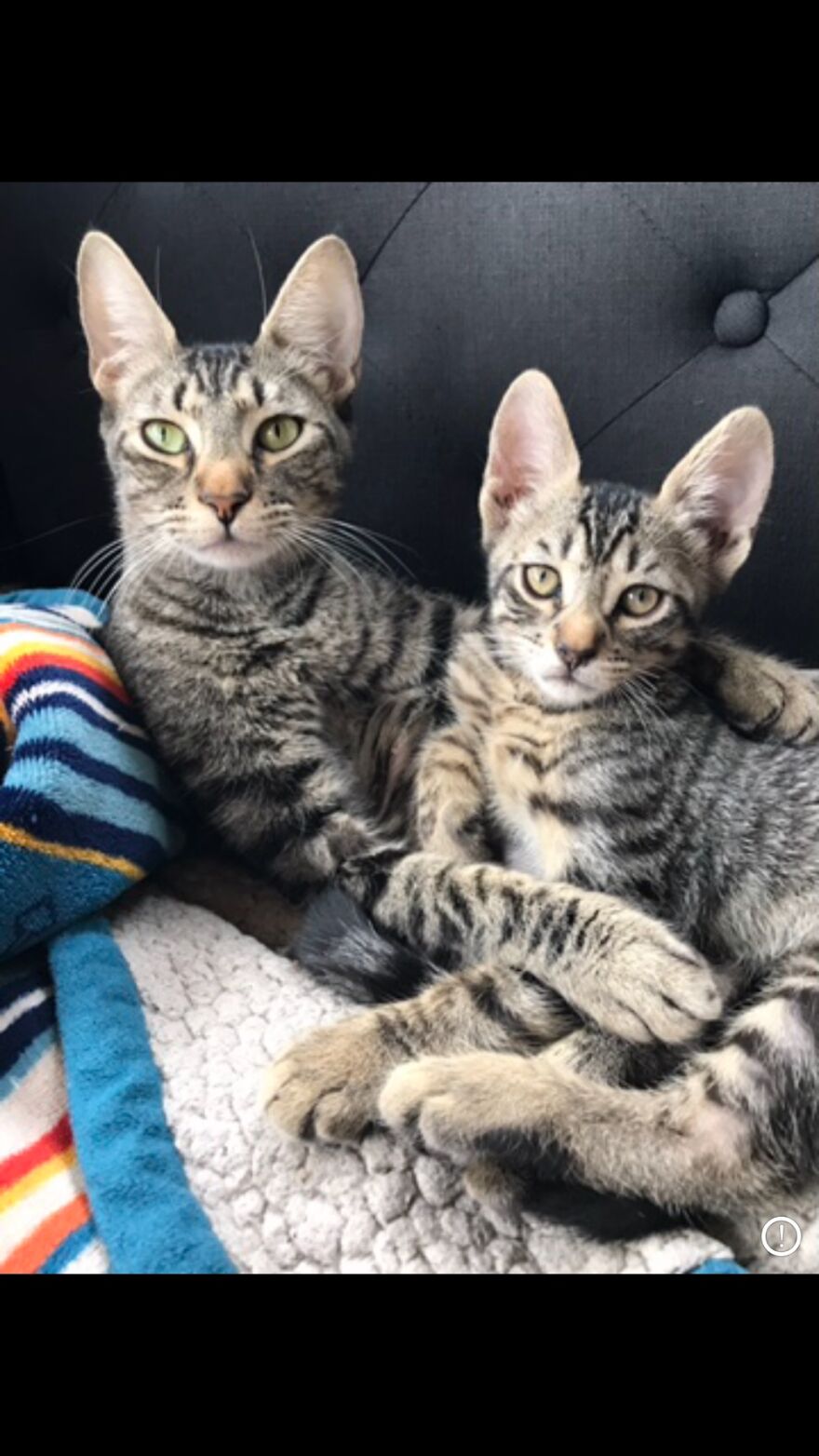 Hey Pandas, Post The Coolest Picture Of An Animal That You’ve Taken (Closed) Hey Pandas, Post The Coolest Picture Of An Animal That You’ve Taken (Closed)