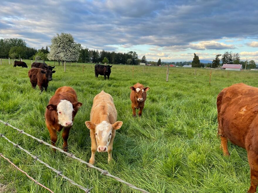 Hey Pandas, Post The Coolest Picture Of An Animal That You’ve Taken (Closed) Hey Pandas, Post The Coolest Picture Of An Animal That You’ve Taken (Closed)