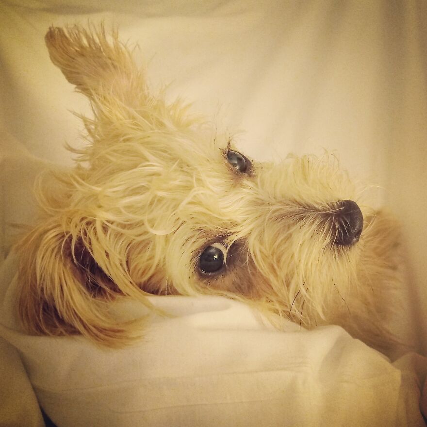 Hey Pandas, Post The Coolest Picture Of An Animal That You’ve Taken (Closed) Hey Pandas, Post The Coolest Picture Of An Animal That You’ve Taken (Closed)