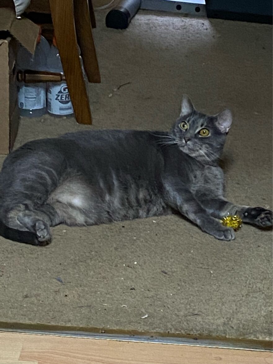 Hey Pandas, Post The Coolest Picture Of An Animal That You’ve Taken (Closed) Hey Pandas, Post The Coolest Picture Of An Animal That You’ve Taken (Closed)