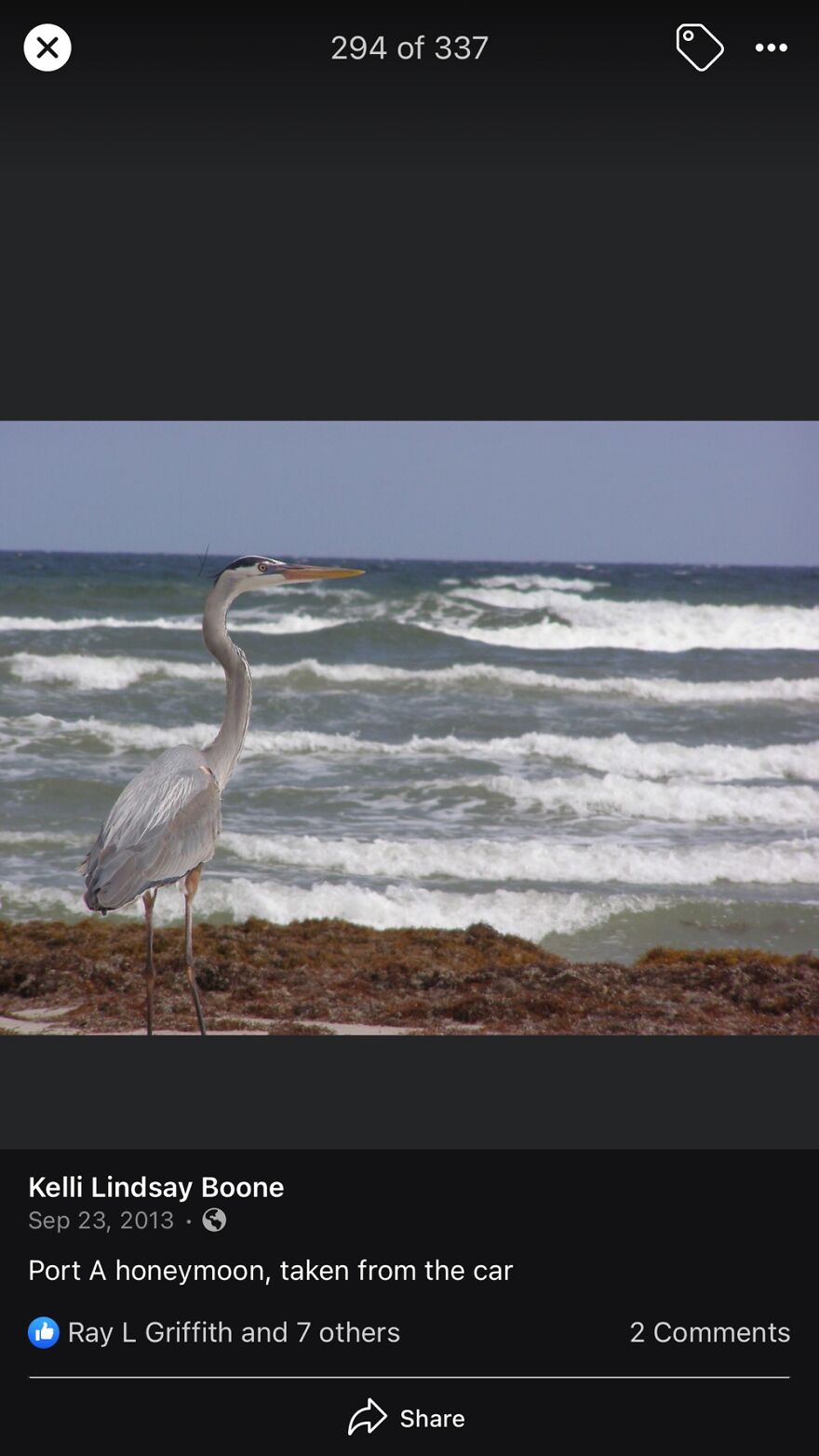 Hey Pandas, Post The Coolest Picture Of An Animal That You’ve Taken (Closed) Hey Pandas, Post The Coolest Picture Of An Animal That You’ve Taken (Closed)