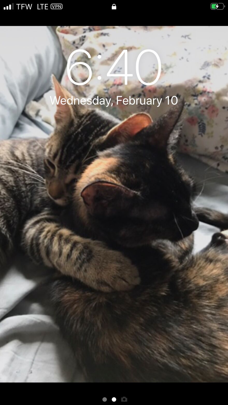 Hey Pandas, Post The Coolest Picture Of An Animal That You’ve Taken (Closed) Hey Pandas, Post The Coolest Picture Of An Animal That You’ve Taken (Closed)