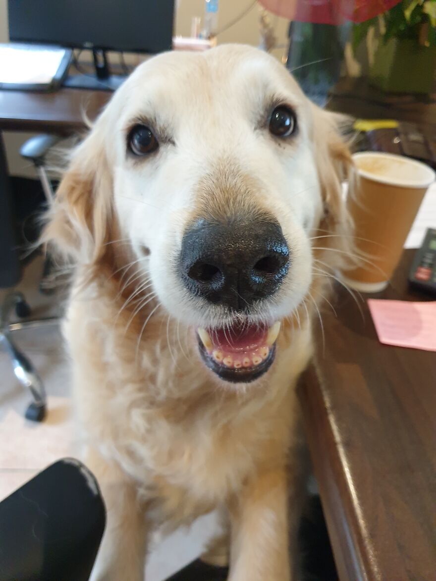 Hey Pandas, Post The Coolest Picture Of An Animal That You’ve Taken (Closed) Hey Pandas, Post The Coolest Picture Of An Animal That You’ve Taken (Closed)