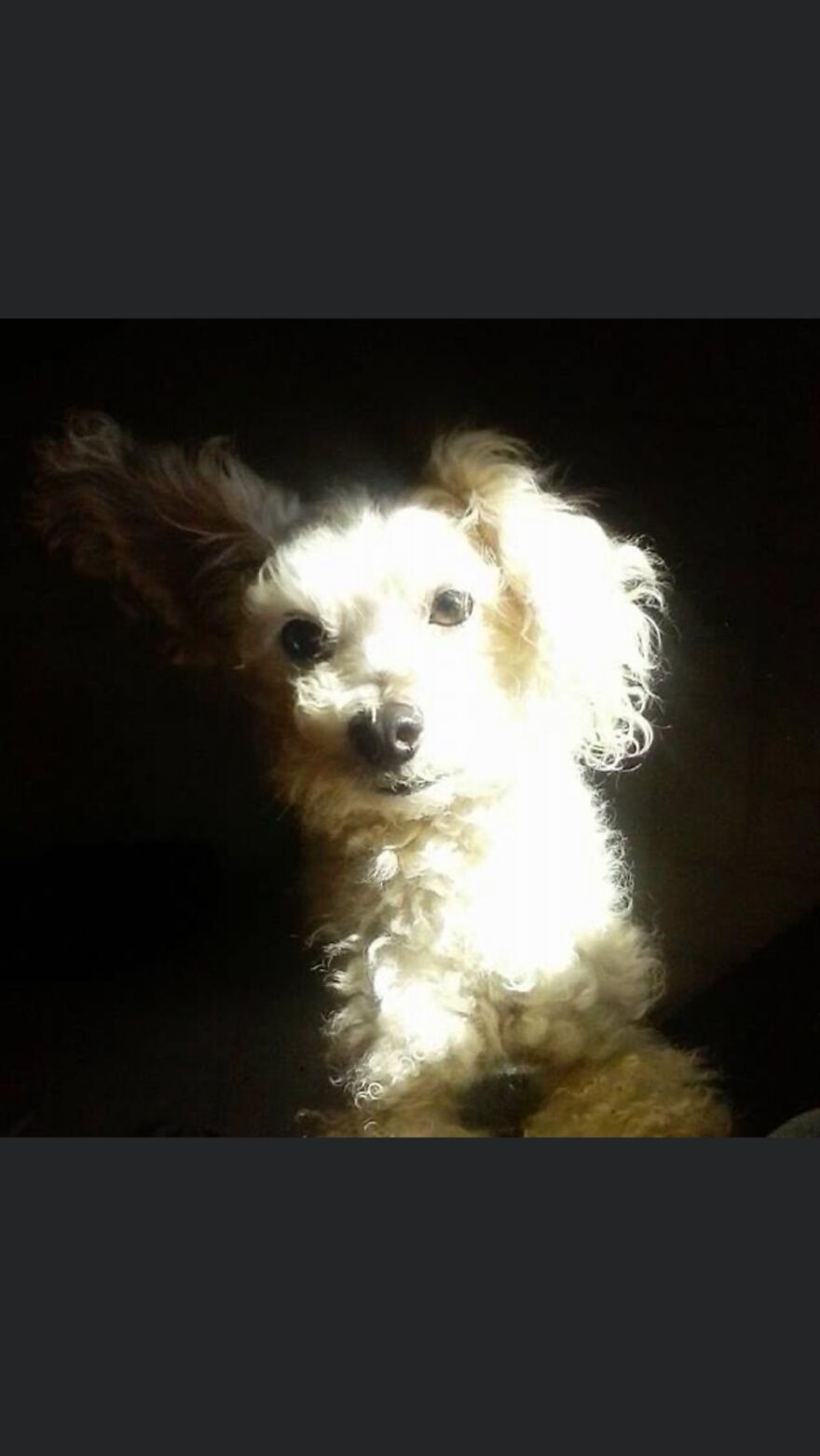 Hey Pandas, Post The Coolest Picture Of An Animal That You’ve Taken (Closed) Hey Pandas, Post The Coolest Picture Of An Animal That You’ve Taken (Closed)