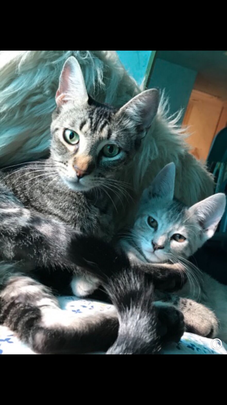 Hey Pandas, Post The Coolest Picture Of An Animal That You’ve Taken (Closed) Hey Pandas, Post The Coolest Picture Of An Animal That You’ve Taken (Closed)