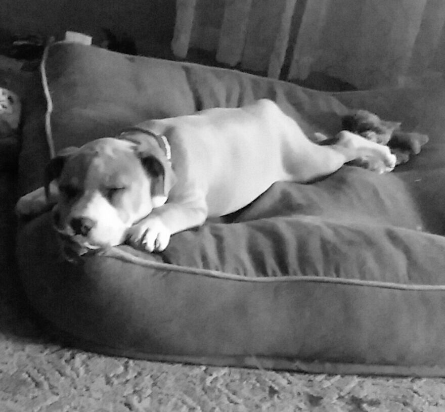 Hey Pandas, Post The Coolest Picture Of An Animal That You’ve Taken (Closed) Hey Pandas, Post The Coolest Picture Of An Animal That You’ve Taken (Closed)