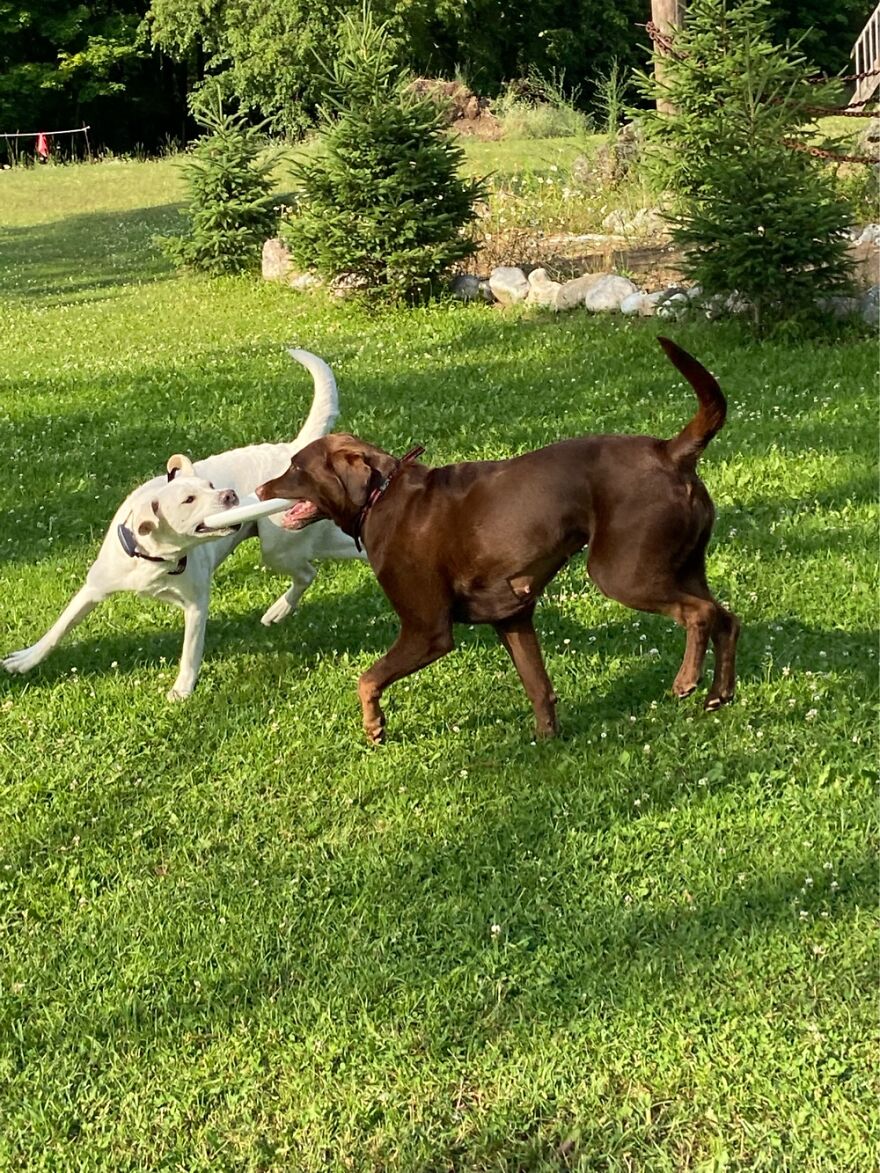 Hey Pandas, Post The Coolest Picture Of An Animal That You’ve Taken (Closed) Hey Pandas, Post The Coolest Picture Of An Animal That You’ve Taken (Closed)