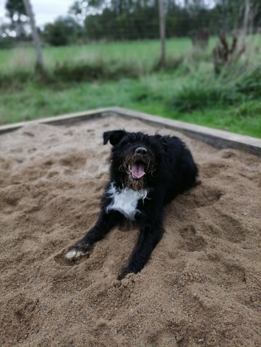 Hey Pandas, Post The Coolest Picture Of An Animal That You’ve Taken (Closed) Hey Pandas, Post The Coolest Picture Of An Animal That You’ve Taken (Closed)