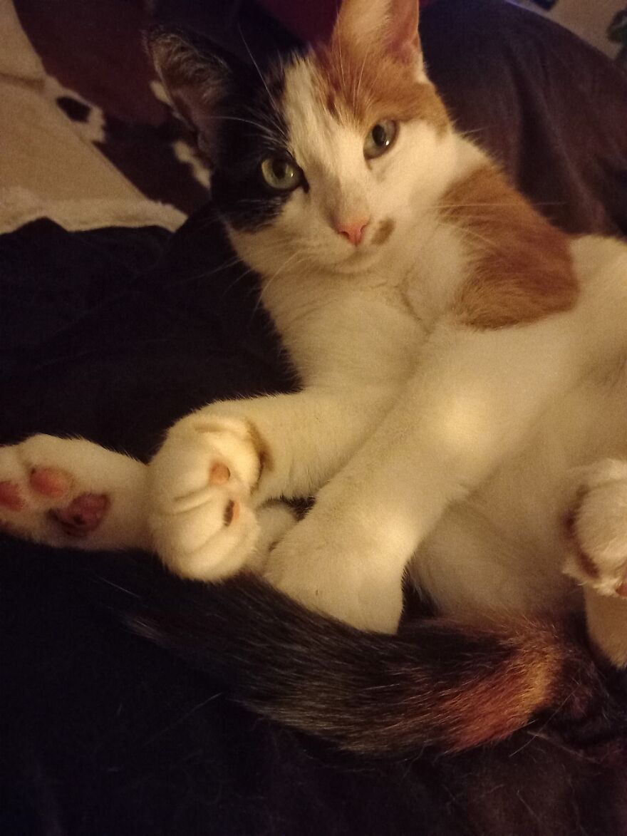 Hey Pandas, Post The Coolest Picture Of An Animal That You’ve Taken (Closed) Hey Pandas, Post The Coolest Picture Of An Animal That You’ve Taken (Closed)