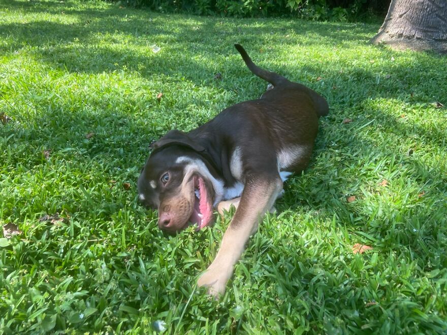 Hey Pandas, Post The Coolest Picture Of An Animal That You’ve Taken (Closed) Hey Pandas, Post The Coolest Picture Of An Animal That You’ve Taken (Closed)