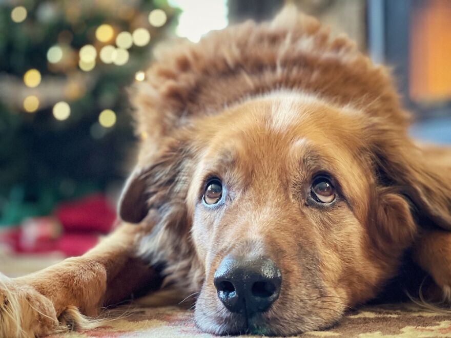 Hey Pandas, Post The Coolest Picture Of An Animal That You’ve Taken (Closed) Hey Pandas, Post The Coolest Picture Of An Animal That You’ve Taken (Closed)