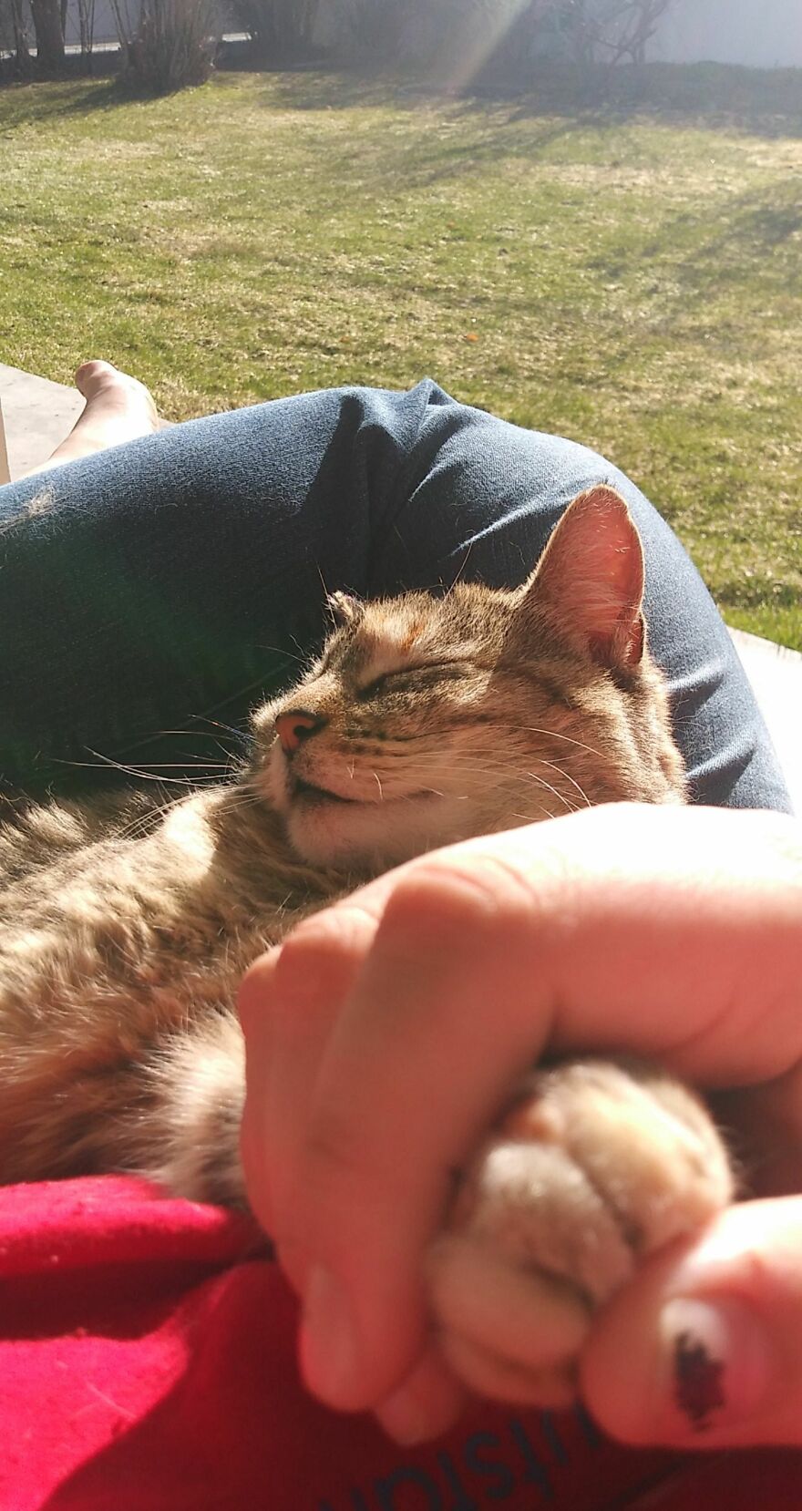 Hey Pandas, Post The Coolest Picture Of An Animal That You’ve Taken (Closed) Hey Pandas, Post The Coolest Picture Of An Animal That You’ve Taken (Closed)