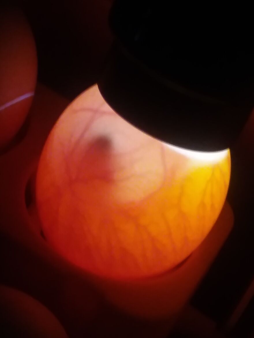 Hey Pandas, Post The Coolest Picture Of An Animal That You’ve Taken (Closed) Hey Pandas, Post The Coolest Picture Of An Animal That You’ve Taken (Closed)