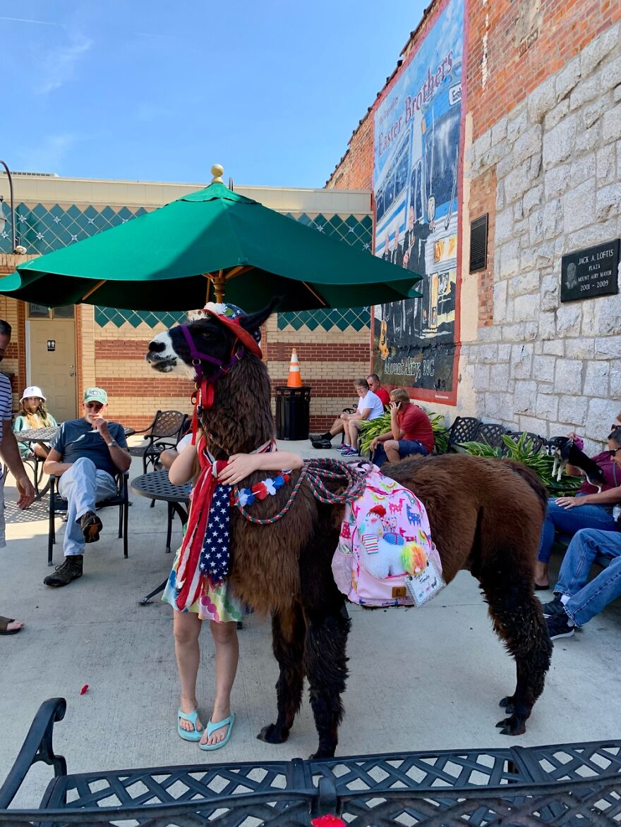 Hey Pandas, Post The Coolest Picture Of An Animal That You’ve Taken (Closed) Hey Pandas, Post The Coolest Picture Of An Animal That You’ve Taken (Closed)