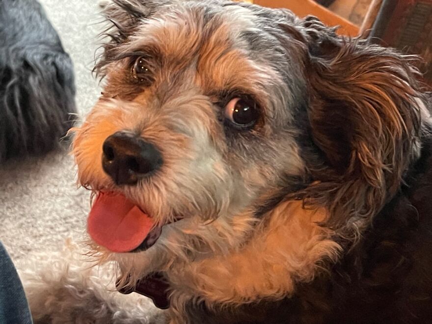 Hey Pandas, Post The Coolest Picture Of An Animal That You’ve Taken (Closed) Hey Pandas, Post The Coolest Picture Of An Animal That You’ve Taken (Closed)