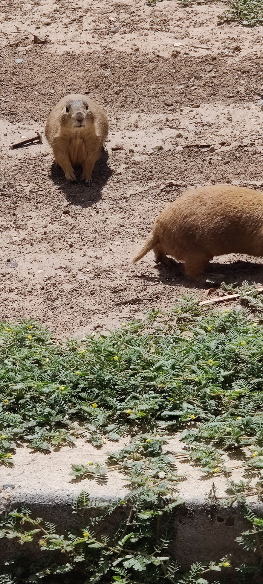 Hey Pandas, Post The Coolest Picture Of An Animal That You’ve Taken (Closed) Hey Pandas, Post The Coolest Picture Of An Animal That You’ve Taken (Closed)