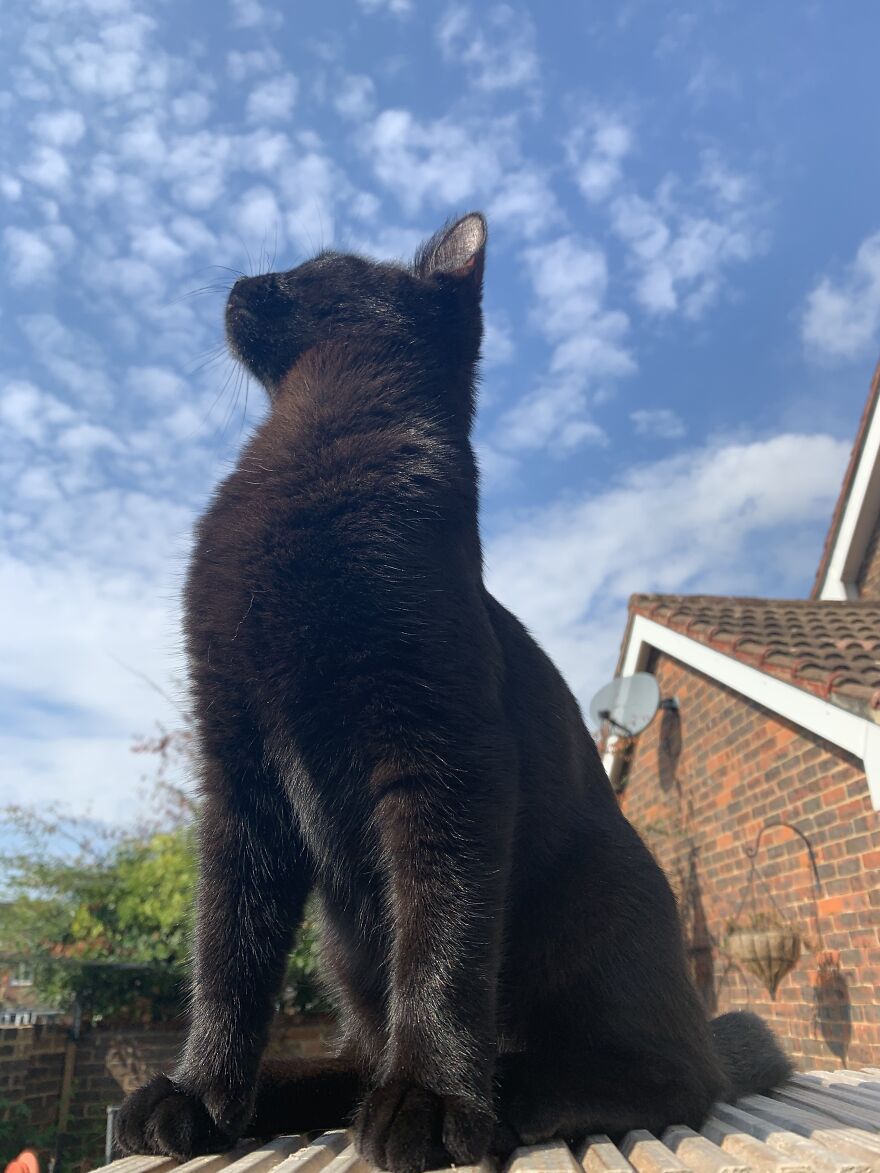 Hey Pandas, Post The Coolest Picture Of An Animal That You’ve Taken (Closed) Hey Pandas, Post The Coolest Picture Of An Animal That You’ve Taken (Closed)