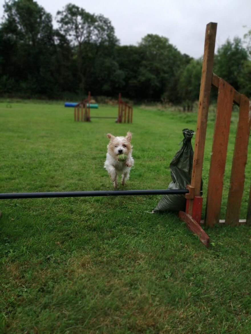 Hey Pandas, Post The Coolest Picture Of An Animal That You’ve Taken (Closed) Hey Pandas, Post The Coolest Picture Of An Animal That You’ve Taken (Closed)