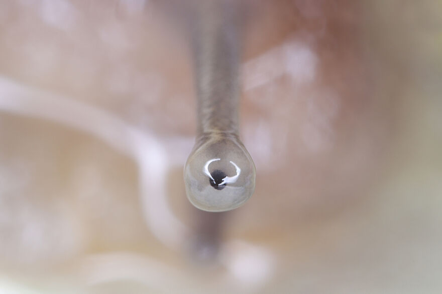 Hey Pandas, Post The Coolest Picture Of An Animal That You’ve Taken (Closed) Hey Pandas, Post The Coolest Picture Of An Animal That You’ve Taken (Closed)