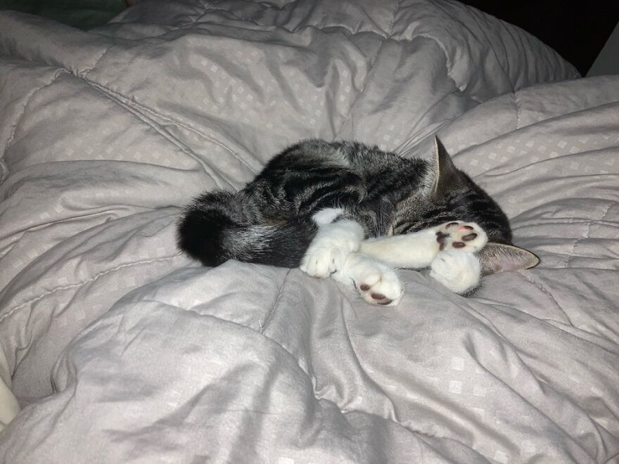 Hey Pandas, Post The Coolest Picture Of An Animal That You’ve Taken (Closed) Hey Pandas, Post The Coolest Picture Of An Animal That You’ve Taken (Closed)