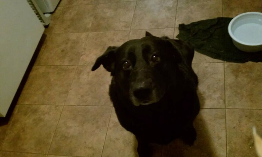 Hey Pandas, Post The Coolest Picture Of An Animal That You’ve Taken (Closed) Hey Pandas, Post The Coolest Picture Of An Animal That You’ve Taken (Closed)