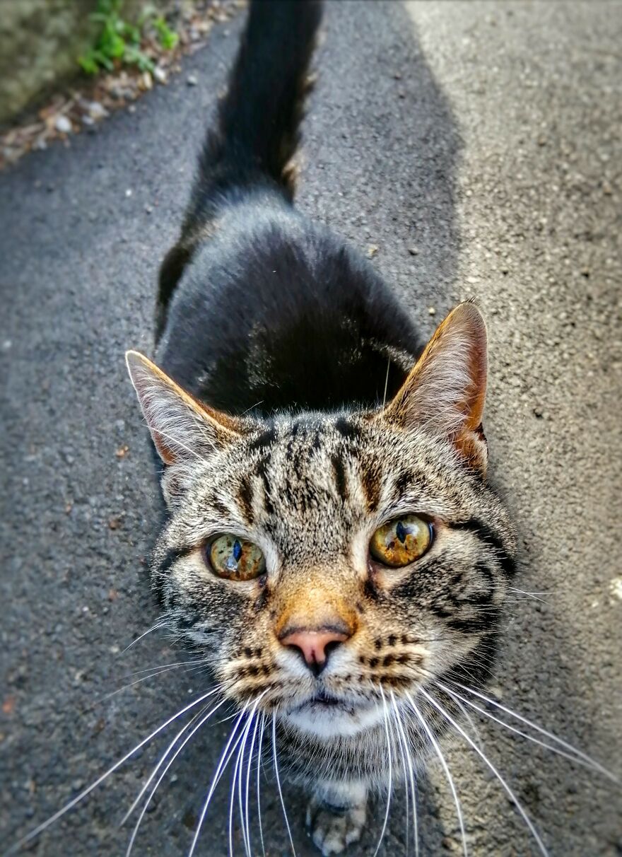 Hey Pandas, Post The Coolest Picture Of An Animal That You’ve Taken (Closed) Hey Pandas, Post The Coolest Picture Of An Animal That You’ve Taken (Closed)