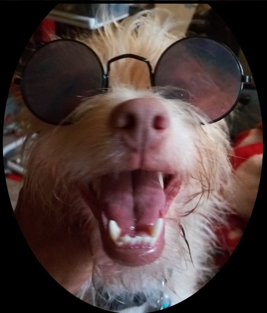 Hey Pandas, Post The Coolest Picture Of An Animal That You’ve Taken (Closed) Hey Pandas, Post The Coolest Picture Of An Animal That You’ve Taken (Closed)