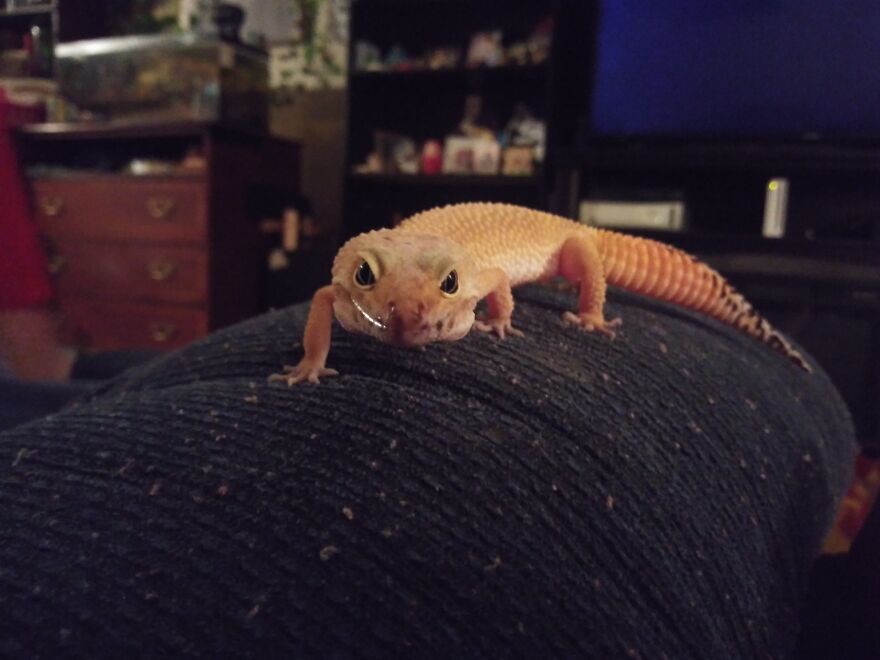 Hey Pandas, Post The Coolest Picture Of An Animal That You’ve Taken (Closed) Hey Pandas, Post The Coolest Picture Of An Animal That You’ve Taken (Closed)