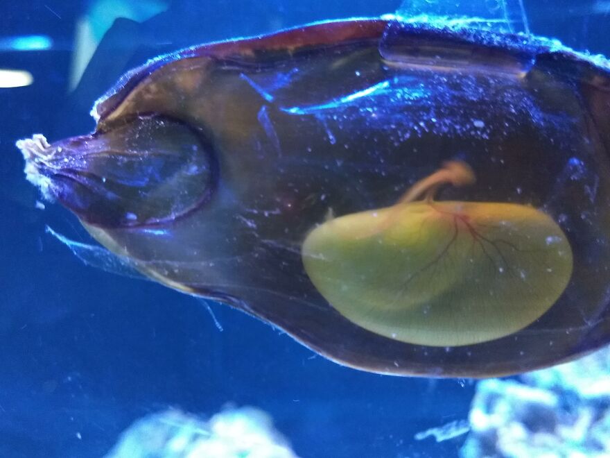 Hey Pandas, Post The Coolest Picture Of An Animal That You’ve Taken (Closed) Hey Pandas, Post The Coolest Picture Of An Animal That You’ve Taken (Closed)